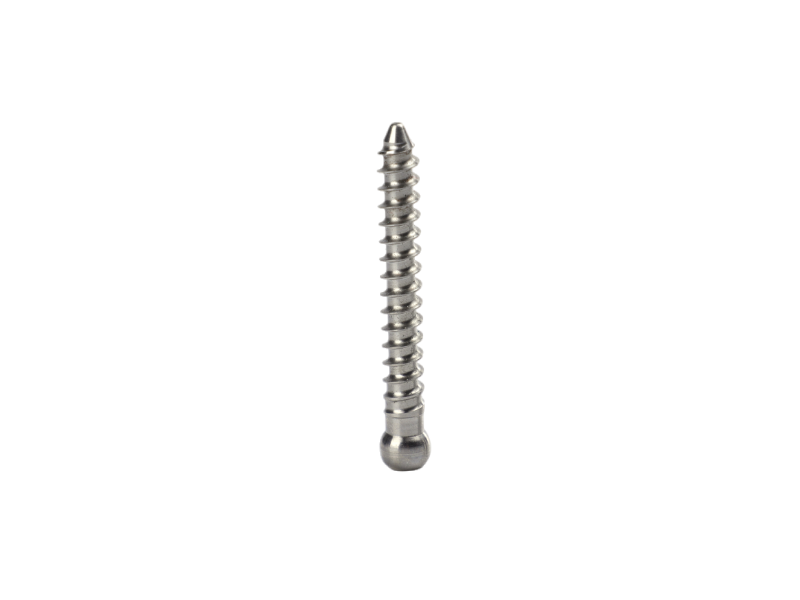 Medical Bone Screw